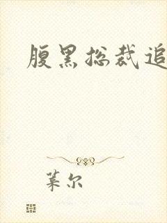 腹黑总裁追娇妻