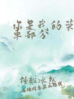 你是我的荣耀开车部分