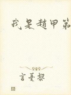 我是赵甲第小说