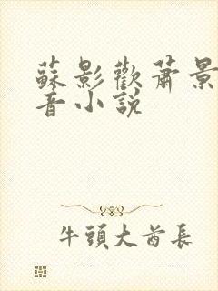 苏影欢萧景渊抖音小说