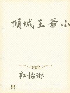 倾城王爷小小妃
