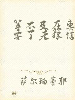 等不及在车里就要了老狼信息