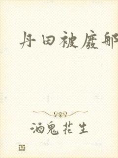 丹田被废那些年