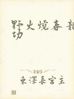 野火烧春 龙鸣功