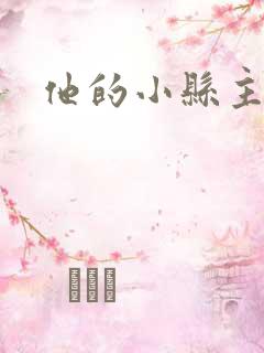 他的小县主