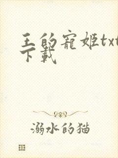 王的宠姬txt下载