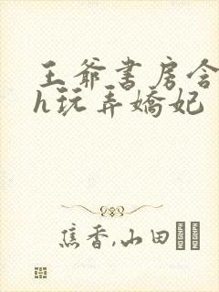 王爷书房含乳尖h玩弄娇妃