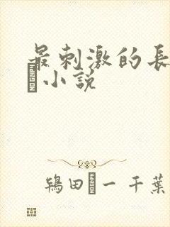 最刺激的长篇乱惀小说