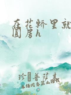 在花轿里就开始圆房h