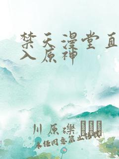 禁天漫堂直接进入原神