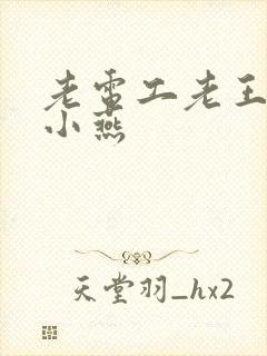 老电工老王和李小燕