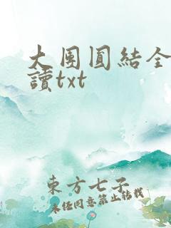 大团圆结全文阅读txt
