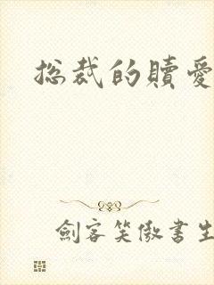 总裁的赎爱宝贝