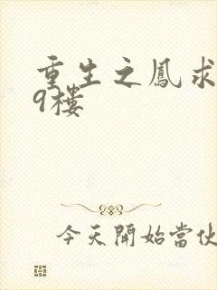 重生之凤求凰19楼