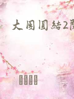 大团圆结2阅读