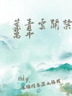 叶青云关禁闭一万年