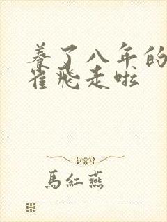 养了八年的金丝雀飞走啦