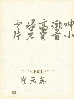 少妇高潮呻吟A片免费看小说