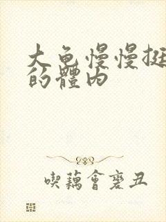 大龟慢慢挺进我的体内