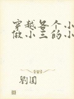 穿越各个小世界做小三的小说