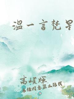 温一言梵星小说