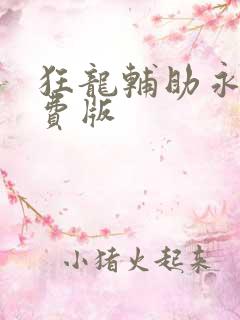 狂龙辅助永久免费版