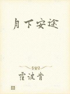 月下安途
