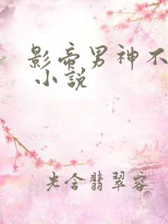 影帝男神不节制 小说