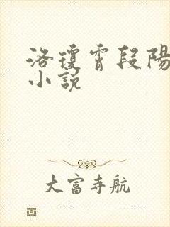 洛琼霄段阳澍的小说