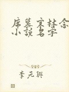 席慕寒林念儿的小说名字