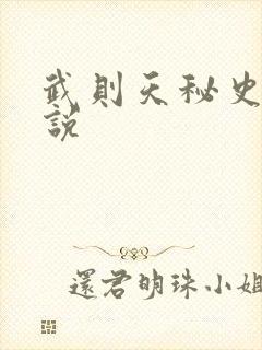 武则天秘史 小说