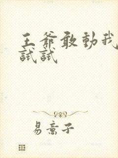 王爷敢动我妈咪试试
