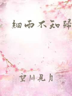 细雨不知归