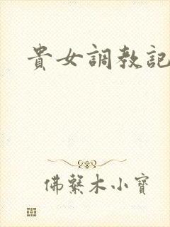 贵女调教记