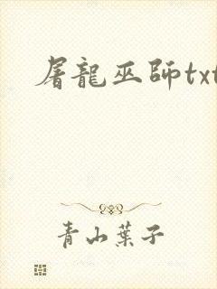 屠龙巫师txt
