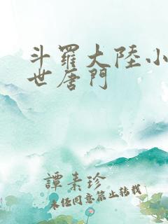 斗罗大陆小说绝世唐门