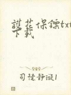 护花保镖txt下载