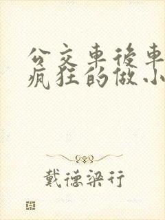 公交车后车座的疯狂的做小