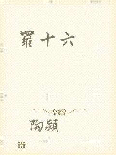 罗十六