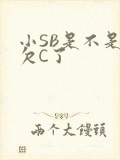小SB是不是又欠C了