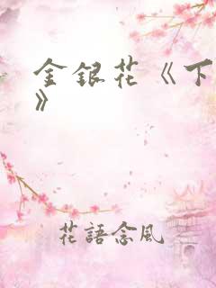 金银花《下厨房》