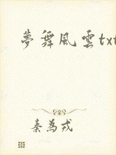 梦舞风云txt