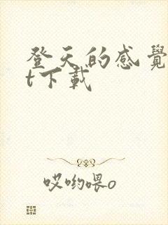 登天的感觉txt下载