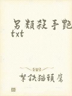 另类杀手艳福星txt