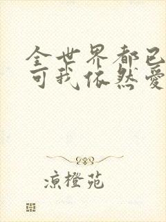 全世界都已剧终可我依然爱你