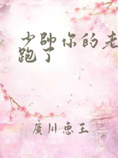 少帅你的老婆又跑了