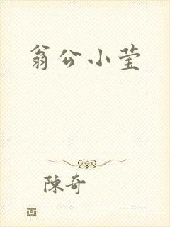 翁公小莹