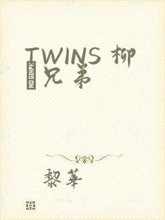 TWINS 柳澤兄弟