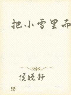 把小雪里面整满