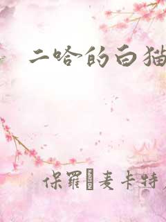 二哈的白猫师尊